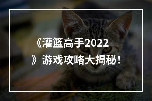 《灌篮高手2022》游戏攻略大揭秘！