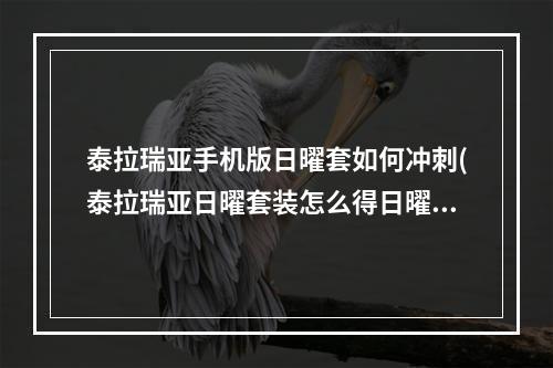 泰拉瑞亚手机版日曜套如何冲刺(泰拉瑞亚日曜套装怎么得日曜套装id和属性详解)