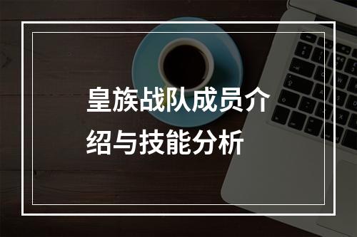 皇族战队成员介绍与技能分析