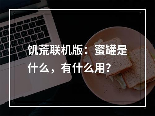 饥荒联机版：蜜罐是什么，有什么用？