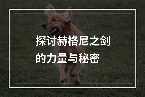 探讨赫格尼之剑的力量与秘密