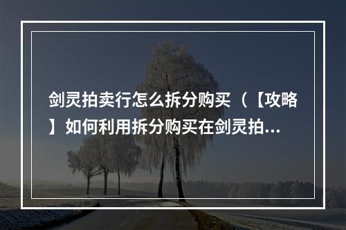 剑灵拍卖行怎么拆分购买（【攻略】如何利用拆分购买在剑灵拍卖行中赚取更多金币）