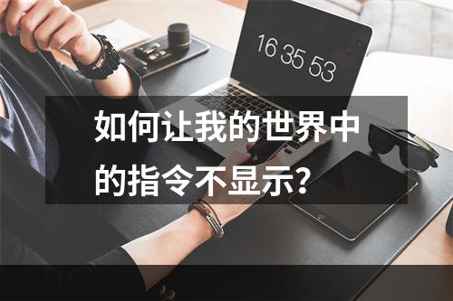 如何让我的世界中的指令不显示？