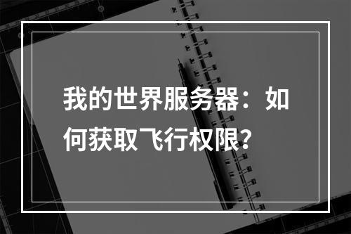 我的世界服务器：如何获取飞行权限？