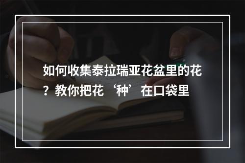 如何收集泰拉瑞亚花盆里的花？教你把花‘种’在口袋里