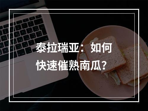 泰拉瑞亚：如何快速催熟南瓜？