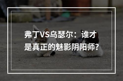 弗丁VS乌瑟尔：谁才是真正的魅影阴阳师？