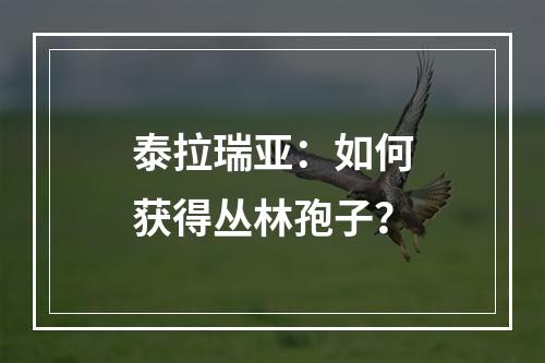 泰拉瑞亚：如何获得丛林孢子？