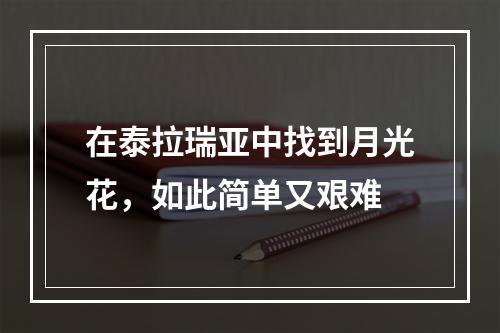 在泰拉瑞亚中找到月光花，如此简单又艰难