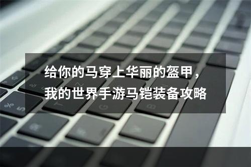 给你的马穿上华丽的盔甲，我的世界手游马铠装备攻略