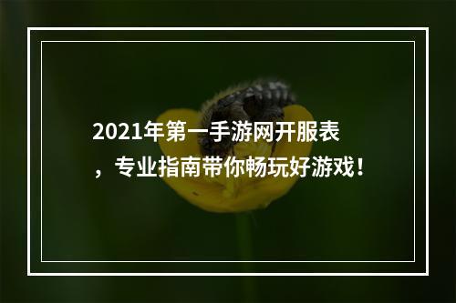 2021年第一手游网开服表，专业指南带你畅玩好游戏！