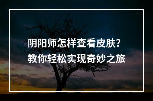 阴阳师怎样查看皮肤？教你轻松实现奇妙之旅