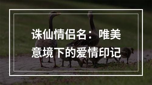 诛仙情侣名：唯美意境下的爱情印记