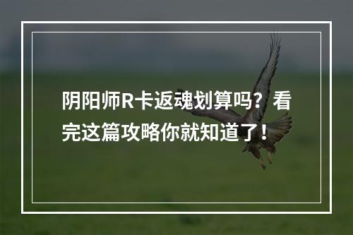 阴阳师R卡返魂划算吗？看完这篇攻略你就知道了！