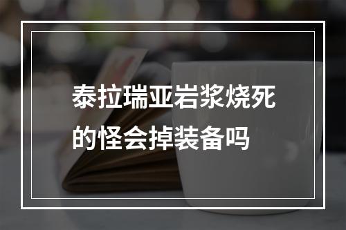 泰拉瑞亚岩浆烧死的怪会掉装备吗