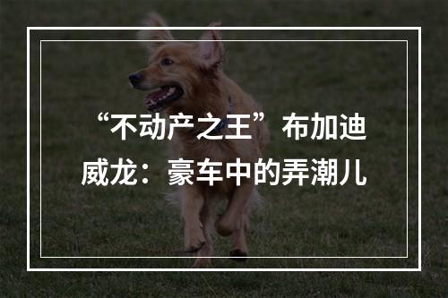 “不动产之王”布加迪威龙：豪车中的弄潮儿