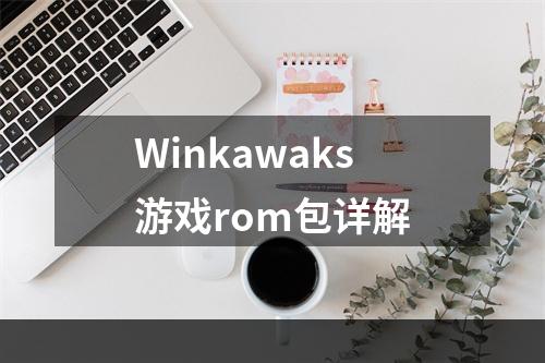 Winkawaks游戏rom包详解