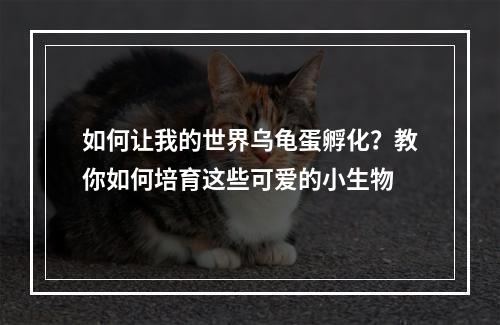 如何让我的世界乌龟蛋孵化？教你如何培育这些可爱的小生物