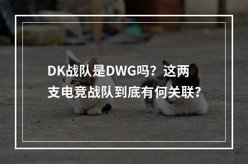 DK战队是DWG吗？这两支电竞战队到底有何关联？