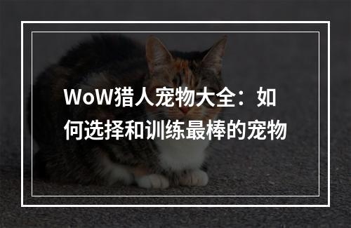 WoW猎人宠物大全：如何选择和训练最棒的宠物