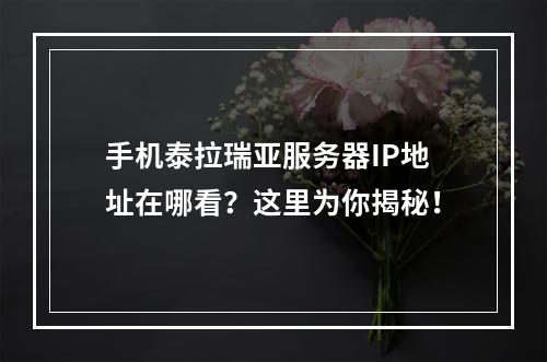 手机泰拉瑞亚服务器IP地址在哪看？这里为你揭秘！