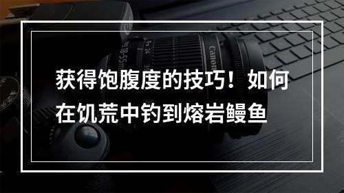 获得饱腹度的技巧！如何在饥荒中钓到熔岩鳗鱼