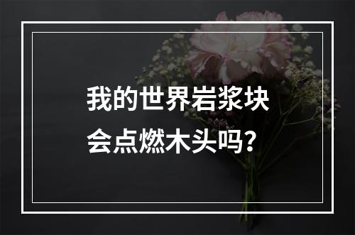 我的世界岩浆块会点燃木头吗？