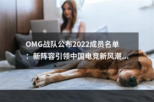 OMG战队公布2022成员名单：新阵容引领中国电竞新风潮！