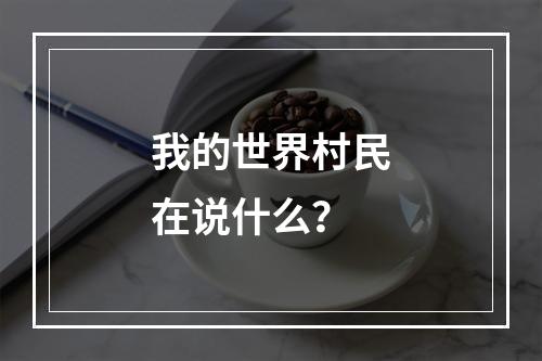 我的世界村民在说什么？