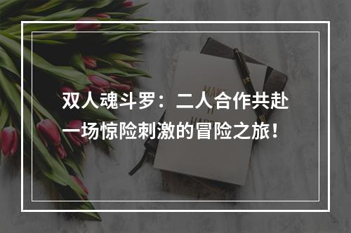 双人魂斗罗：二人合作共赴一场惊险刺激的冒险之旅！