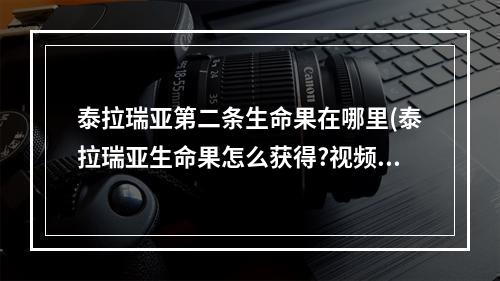 泰拉瑞亚第二条生命果在哪里(泰拉瑞亚生命果怎么获得?视频)