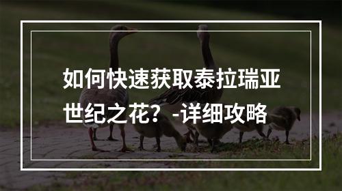 如何快速获取泰拉瑞亚世纪之花？-详细攻略