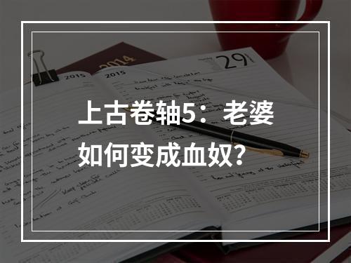 上古卷轴5：老婆如何变成血奴？