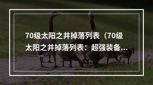 70级太阳之井掉落列表（70级太阳之井掉落列表：超强装备等你来拿！）