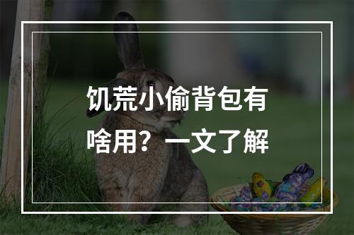 饥荒小偷背包有啥用？一文了解