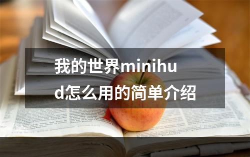 我的世界minihud怎么用的简单介绍