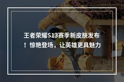 王者荣耀S13赛季新皮肤发布！惊艳登场，让英雄更具魅力