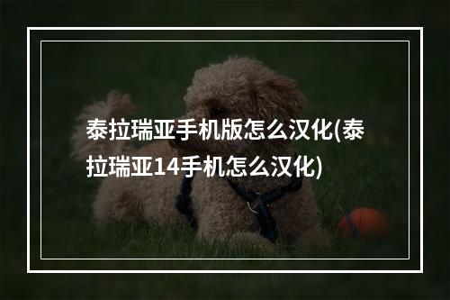 泰拉瑞亚手机版怎么汉化(泰拉瑞亚14手机怎么汉化)