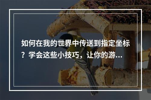 如何在我的世界中传送到指定坐标？学会这些小技巧，让你的游戏更加流畅