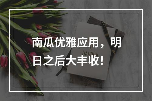 南瓜优雅应用，明日之后大丰收！