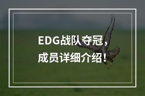 EDG战队夺冠，成员详细介绍！