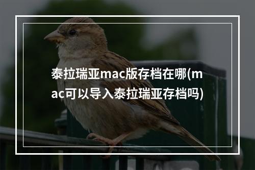 泰拉瑞亚mac版存档在哪(mac可以导入泰拉瑞亚存档吗)