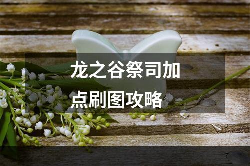 龙之谷祭司加点刷图攻略