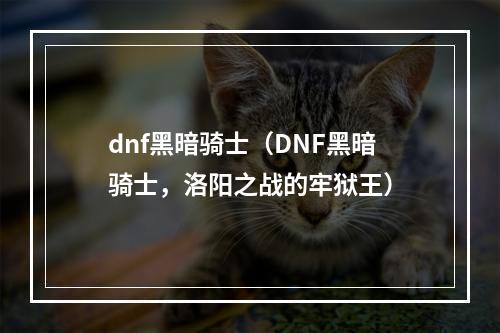 dnf黑暗骑士（DNF黑暗骑士，洛阳之战的牢狱王）