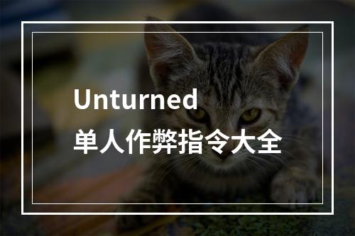 Unturned单人作弊指令大全