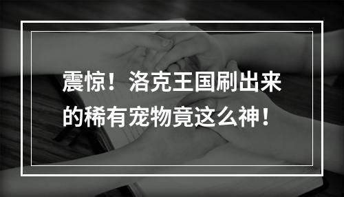 震惊！洛克王国刷出来的稀有宠物竟这么神！