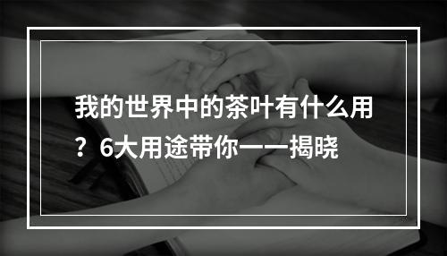 我的世界中的茶叶有什么用？6大用途带你一一揭晓