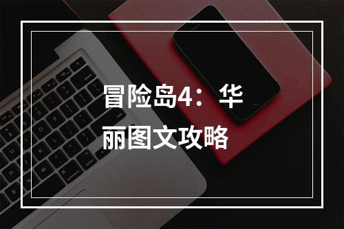 冒险岛4：华丽图文攻略