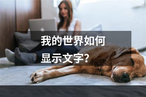 我的世界如何显示文字？