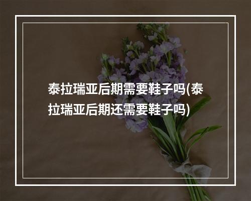 泰拉瑞亚后期需要鞋子吗(泰拉瑞亚后期还需要鞋子吗)